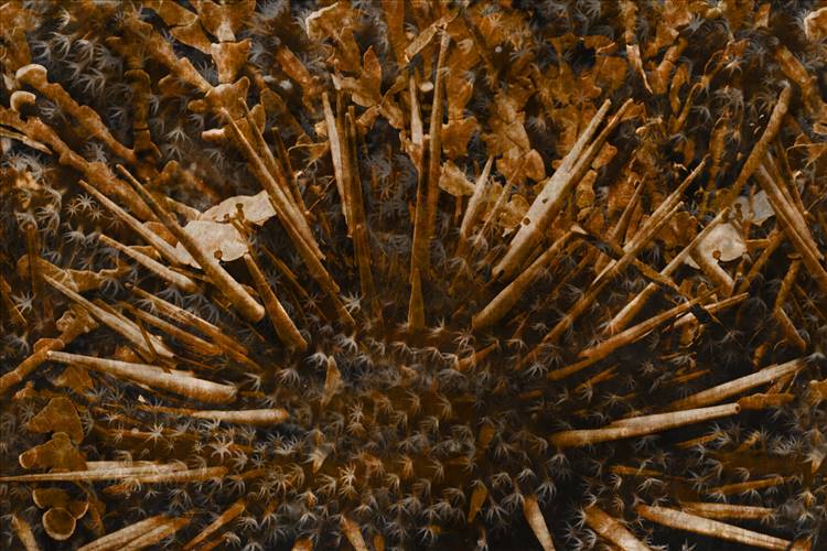 Download 3D Textures Spin