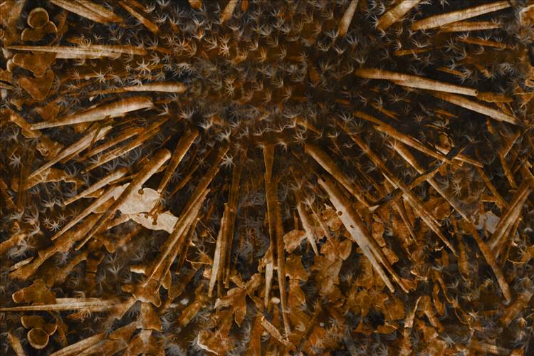 Download 3D Textures Spin