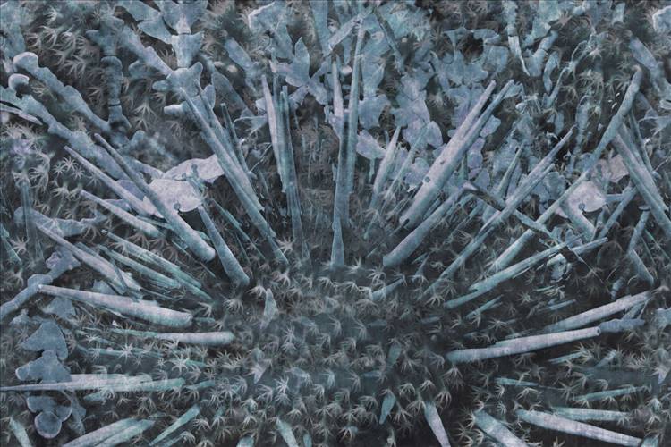 Download 3D Textures Spin