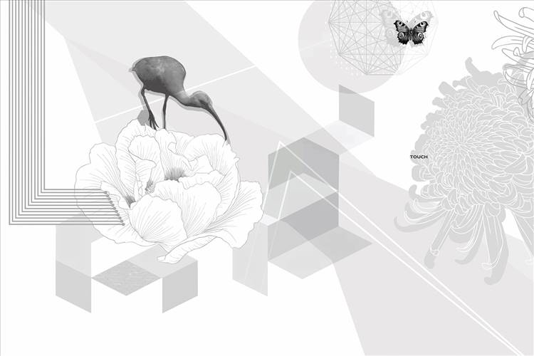 Download 3D Textures Touch