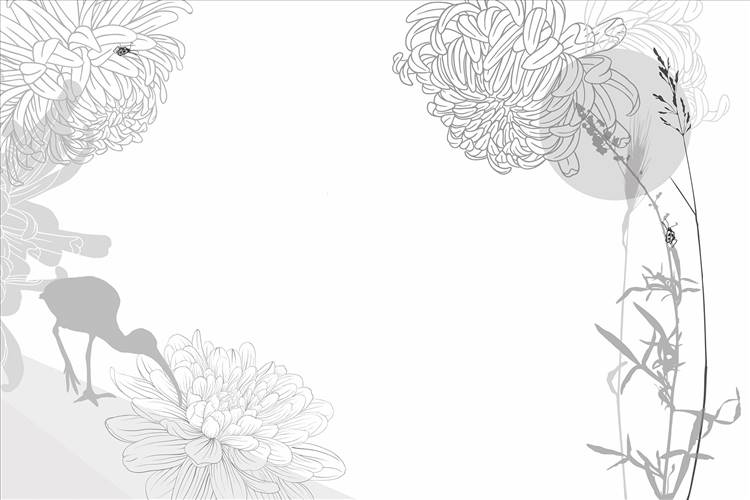Download 3D Textures Touch