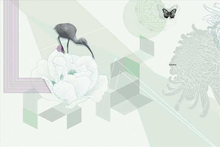 Download 3D Textures Touch