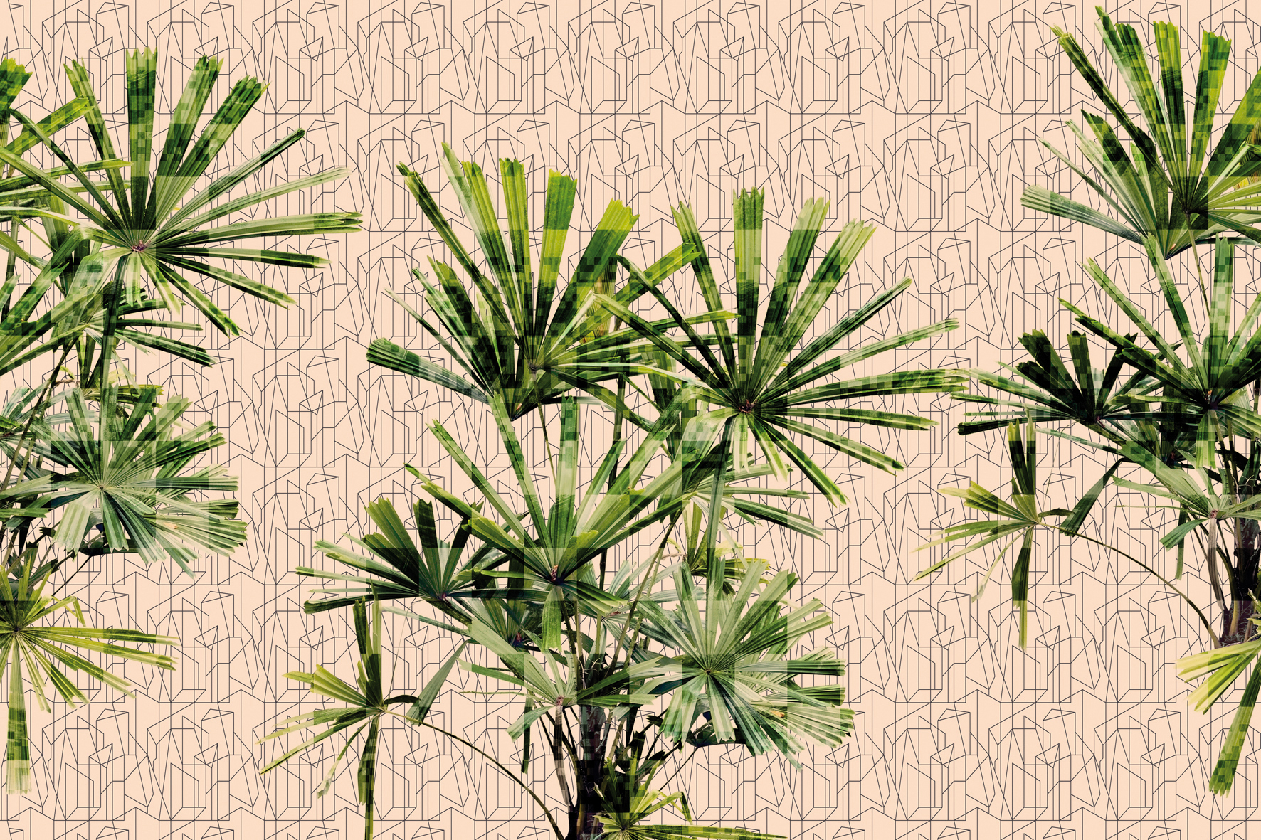 3d Textures for 3ds Max and other software - Glamora-Cubic Plant-glge121a