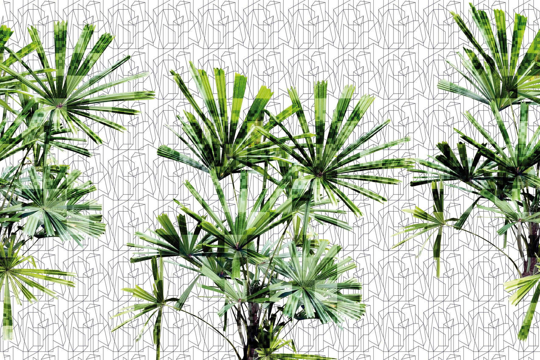 3d Textures for 3ds Max and other software - Glamora-Cubic Plant-glge123a