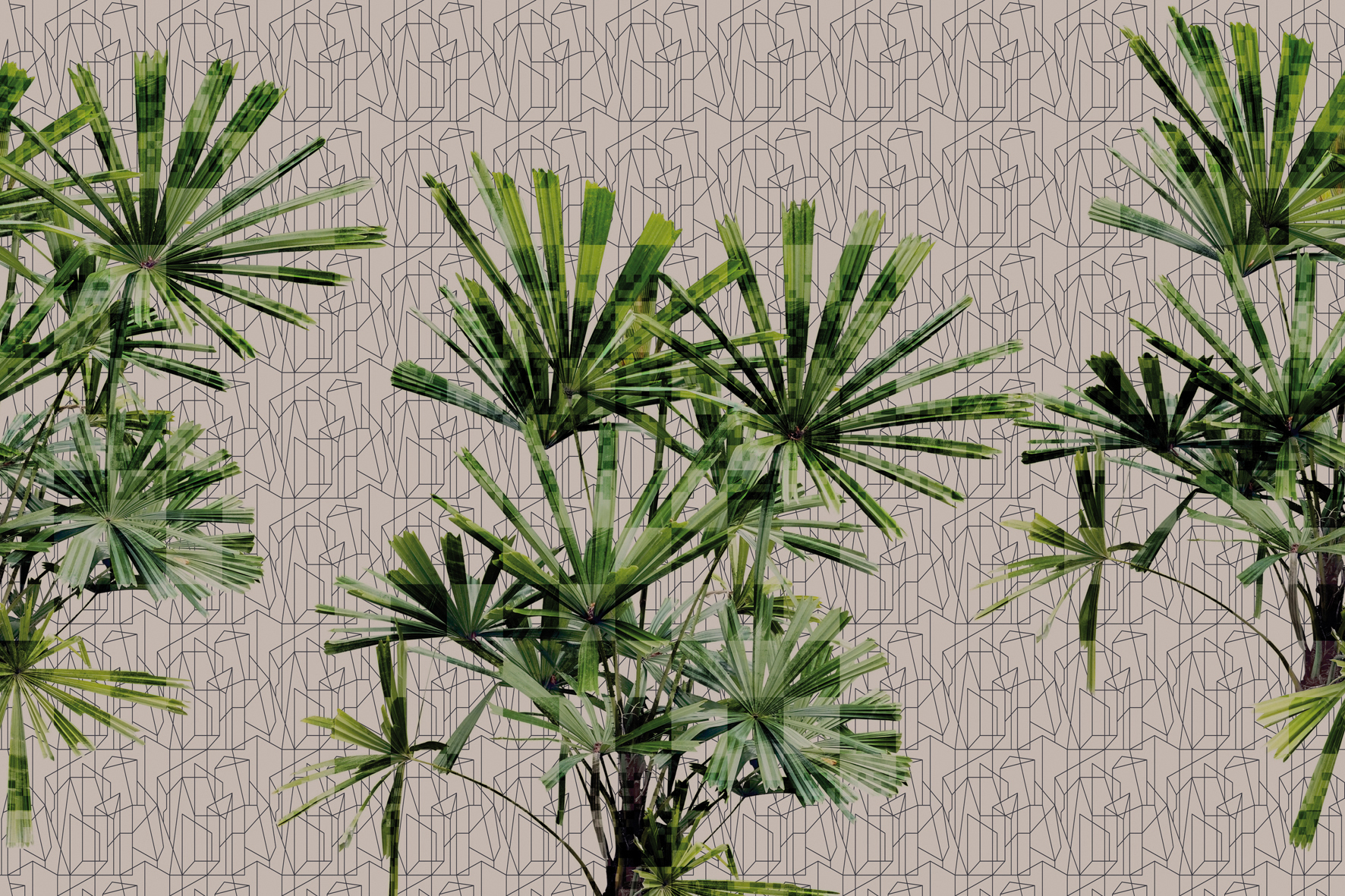 3d Textures for 3ds Max and other software - Glamora-Cubic Plant-glge124a