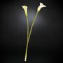 VGnewtrend - Complements - CALLA LILY