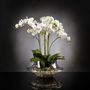 VGnewtrend - Complements - LIGHT ATOLLO 3 PHALENOPSIS BIG