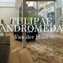 Xilo 1934 - Design Collection - Tulipae Andromeda by Ronald Van der Hilst