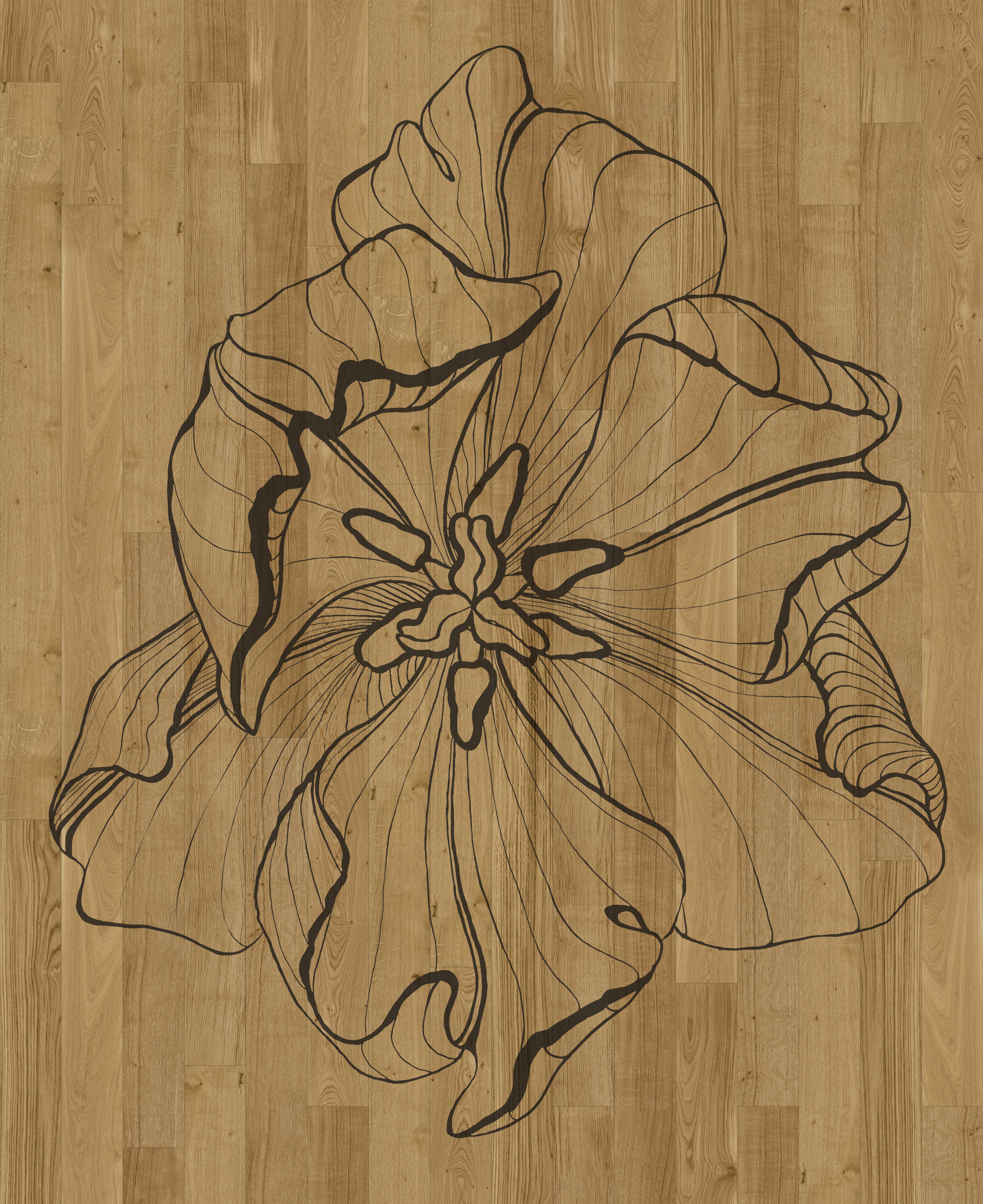 Download 3D Textures Tulipae Maior by Ronald Van der Hilst