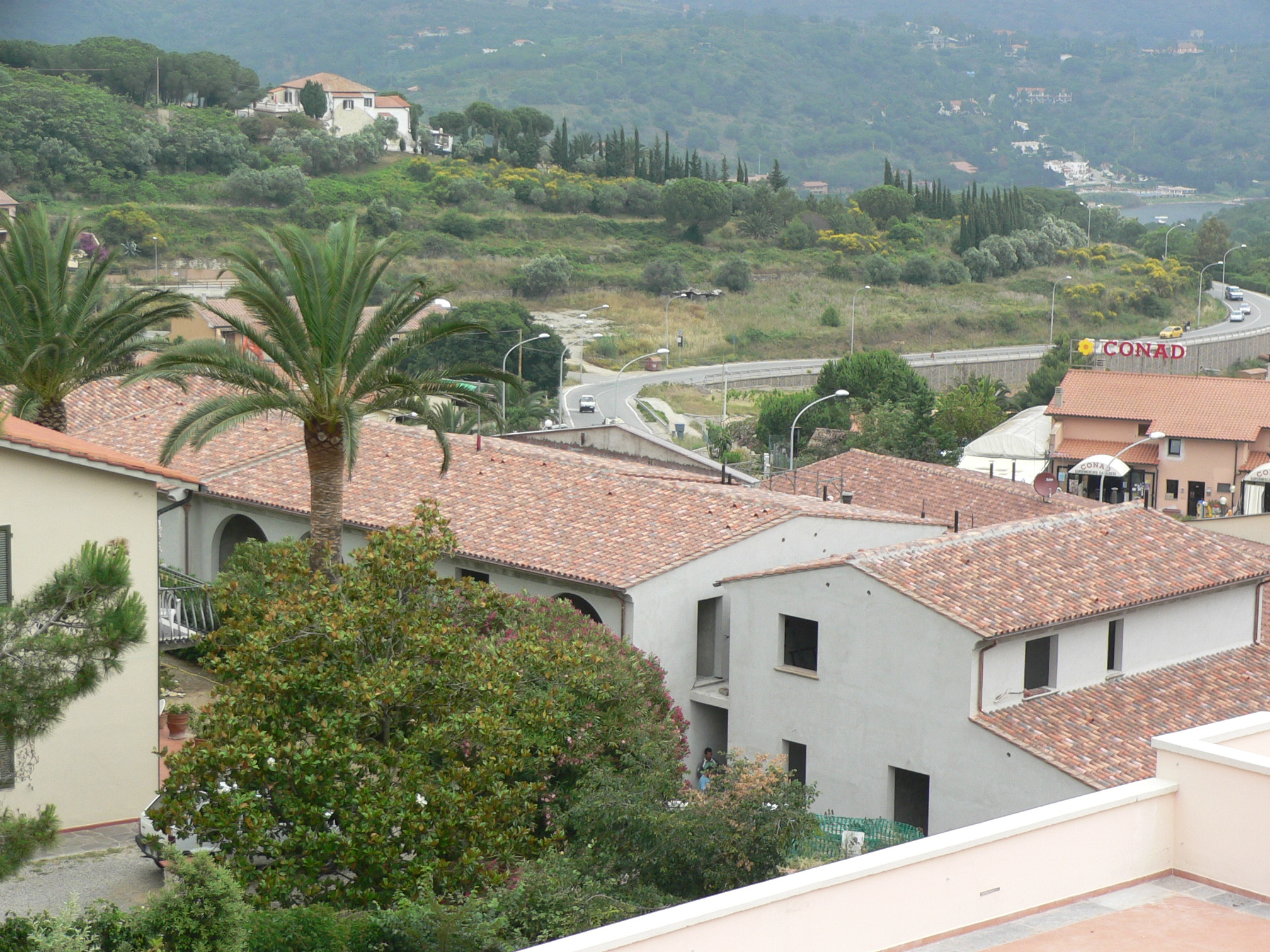Download Images Coppo Portoghese ELITE