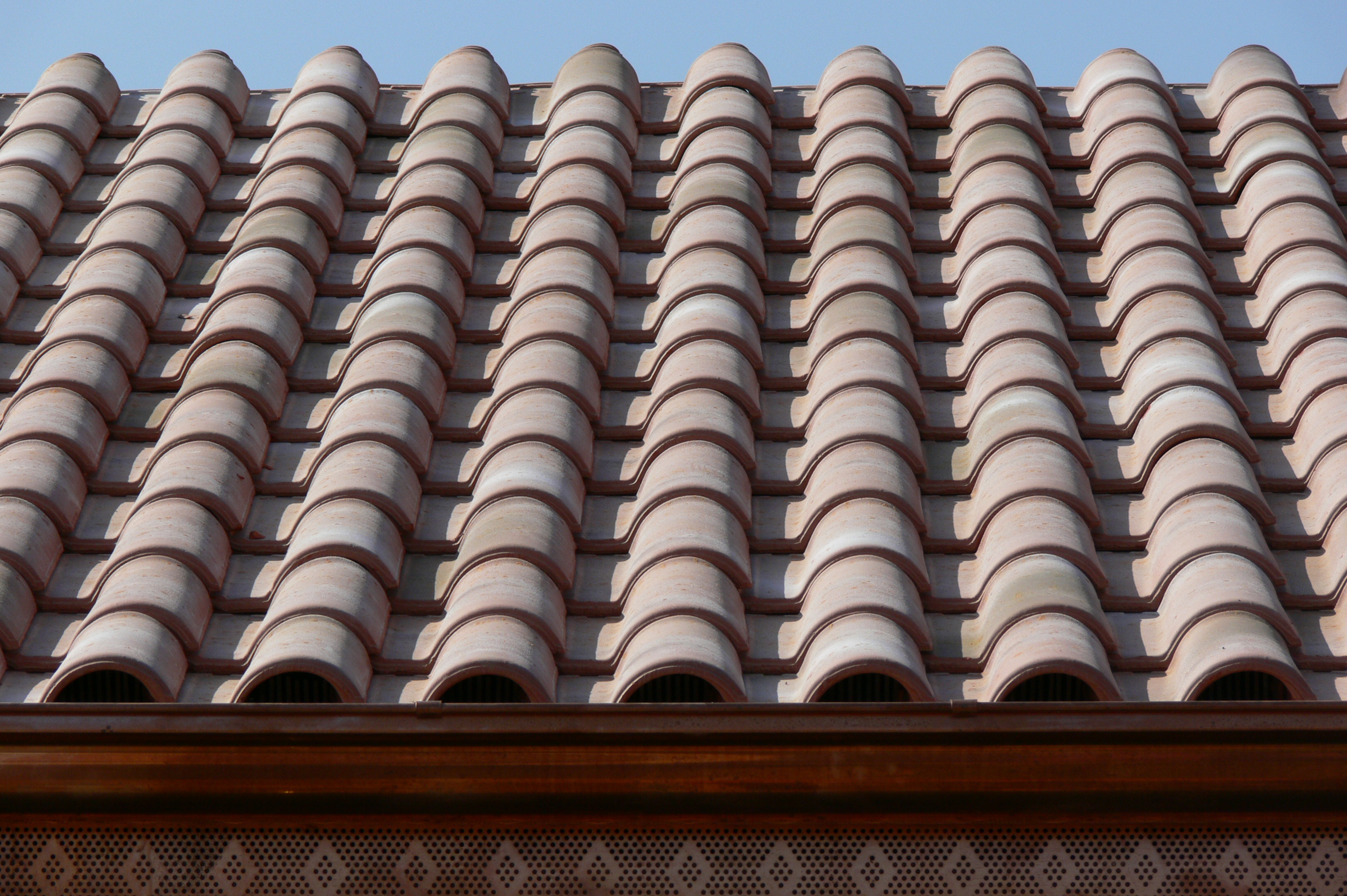 Download Images Coppo Portoghese ELITE