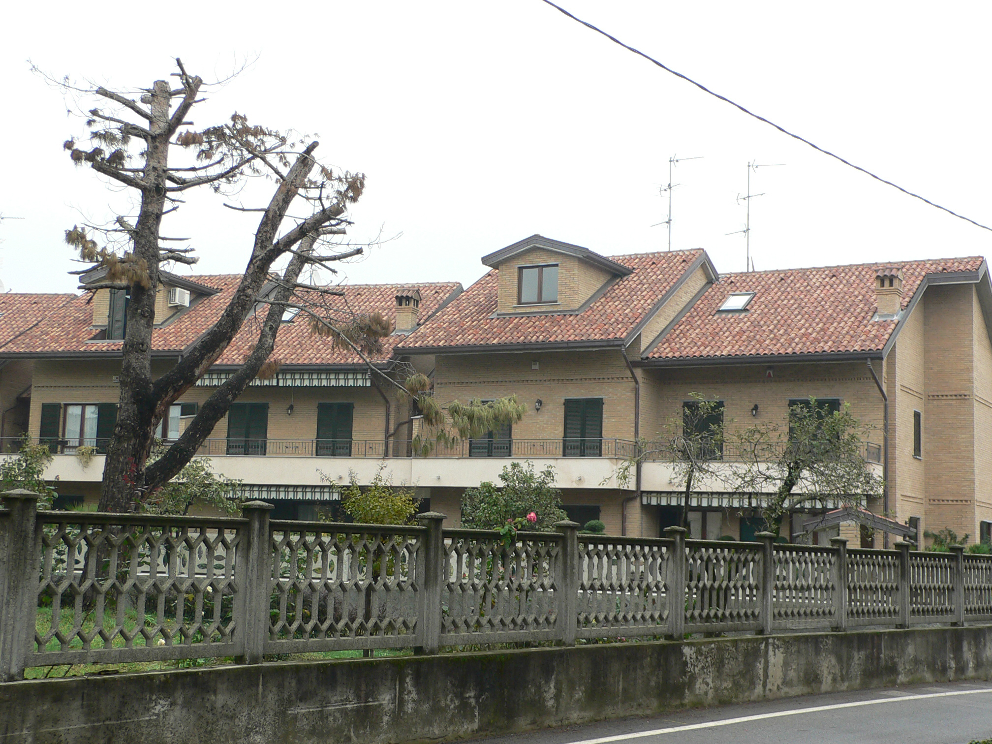 Download Images Coppo Portoghese ELITE