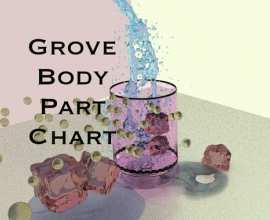 Grove Body Part Chart