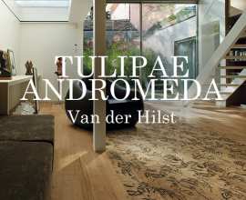 Parquet Tulipae Andromeda by Ronald Van der Hilst 3D Models 
