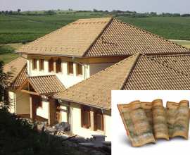 Roofs Coppo Portoghese ELITE 3D Models 