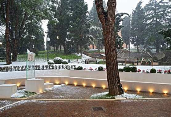 Simoncelli Memorial