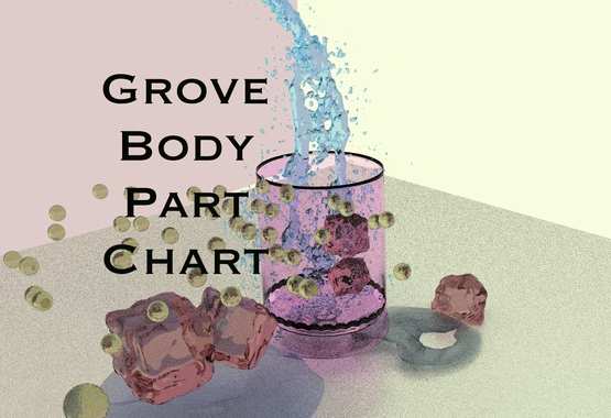 Grove Body Part Chart