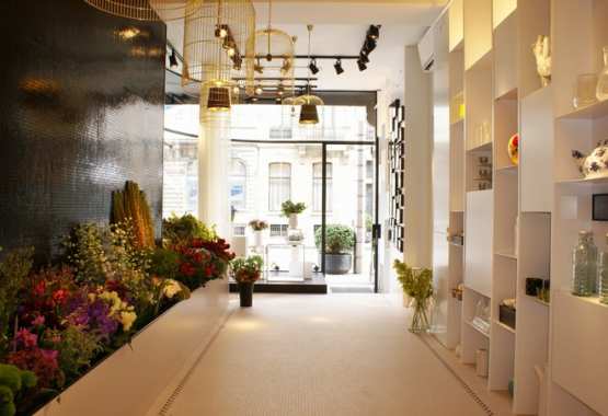 Bos Bloemen