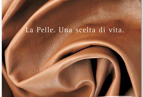 NATUZZI - Cataloghi