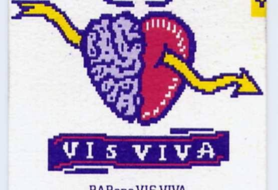 visviva disco e bart