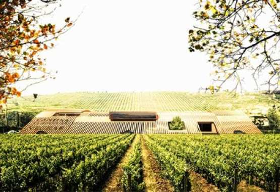  A ROOF UPON THE LANDSCAPE