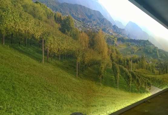 Museo Manzoni