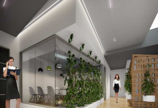 Interior Rendering - Office