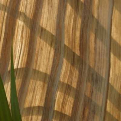 Natural materials. From banana trees, a valuable and environmentally friendly product