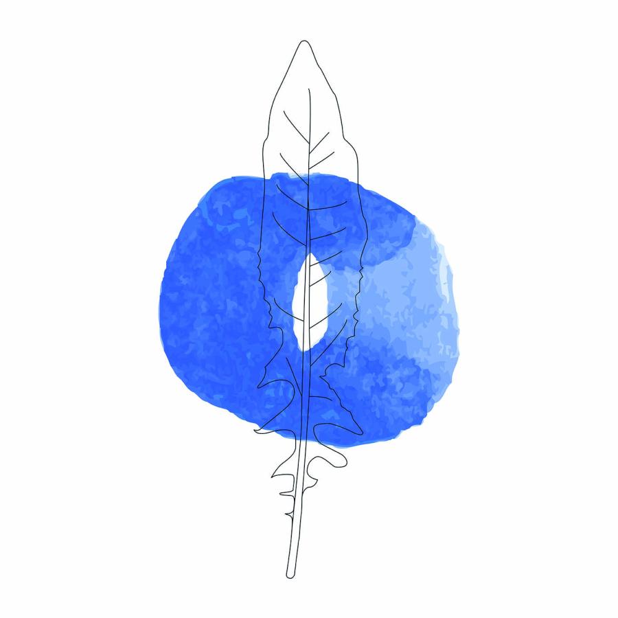Jwall #One - Cicoria azzurro