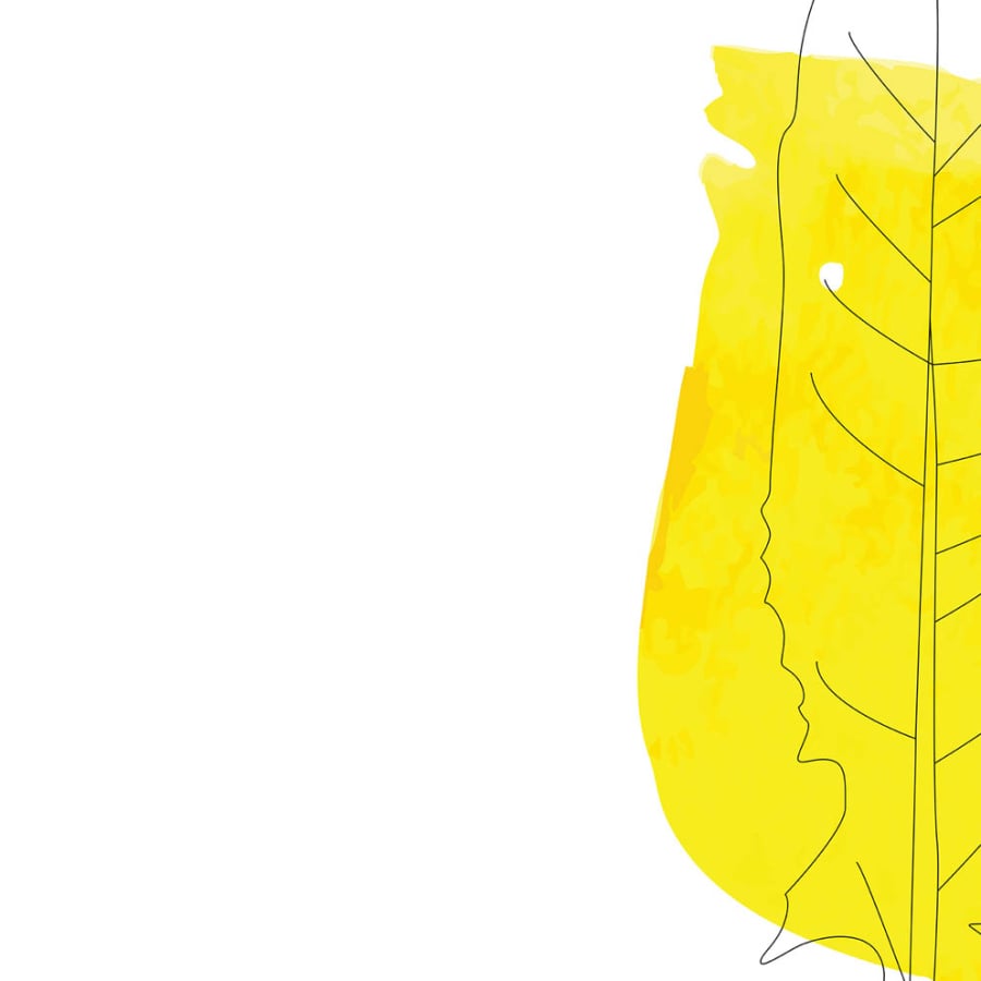 Jwall #One - Cicoria giallo