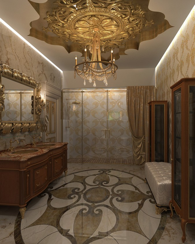 Conception of interiors design for Ambassador