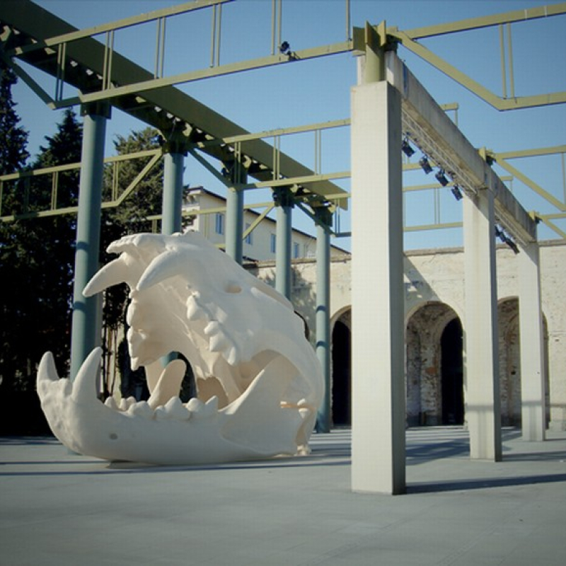 Project Skull