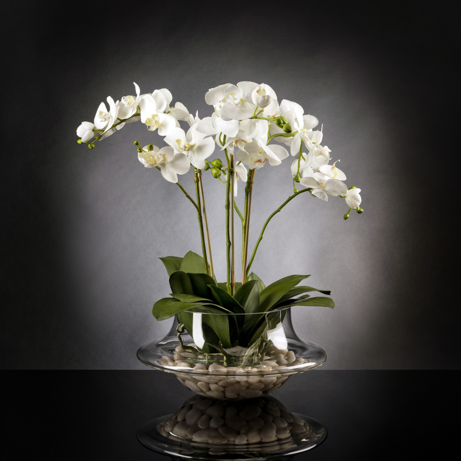 Floral compositions LIGHT ATOLLO 3 PHALENOPSIS BIG 3D Models 