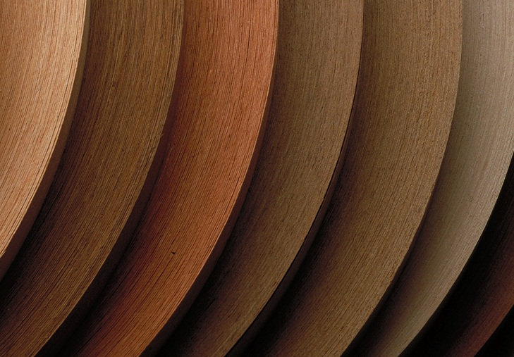 Wood coverings Alpiedecos 3D Models 