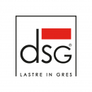 Logo DSG